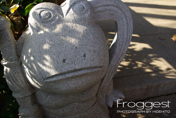 Froggest feat.K10D