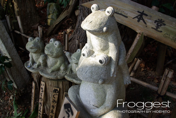 Froggest feat.K10D