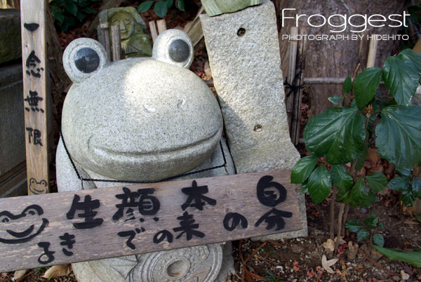 Froggest feat.K10D