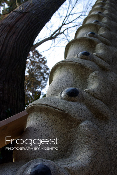 Froggest feat.K10D