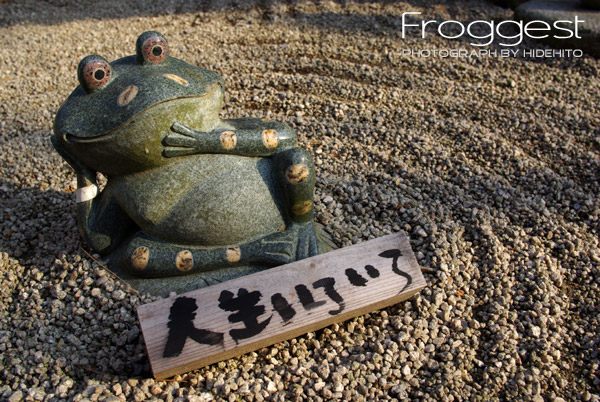 Froggest feat.K10D