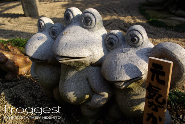 Froggest feat.K10D