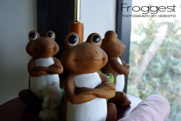 Froggest feat.K10D