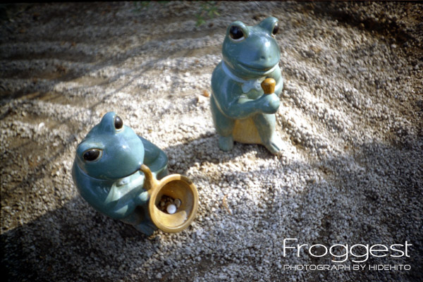 Froggest