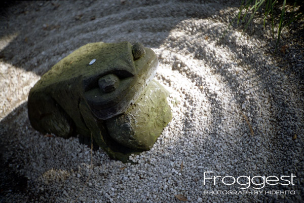 Froggest