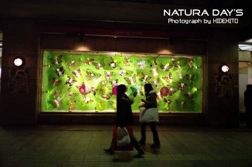 NATURA S で撮影した写真